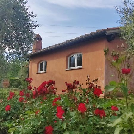 La Casa Delle Rose Villa Terranuova Bracciolini Buitenkant foto