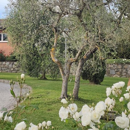 La Casa Delle Rose Villa Terranuova Bracciolini Buitenkant foto