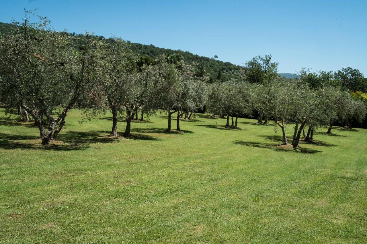 La Casa Delle Rose Villa Terranuova Bracciolini Buitenkant foto