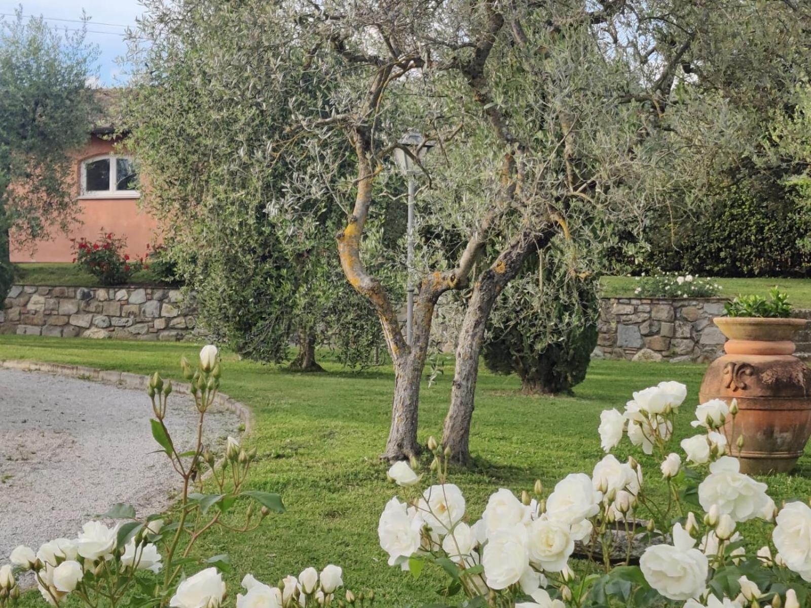 La Casa Delle Rose Villa Terranuova Bracciolini Buitenkant foto